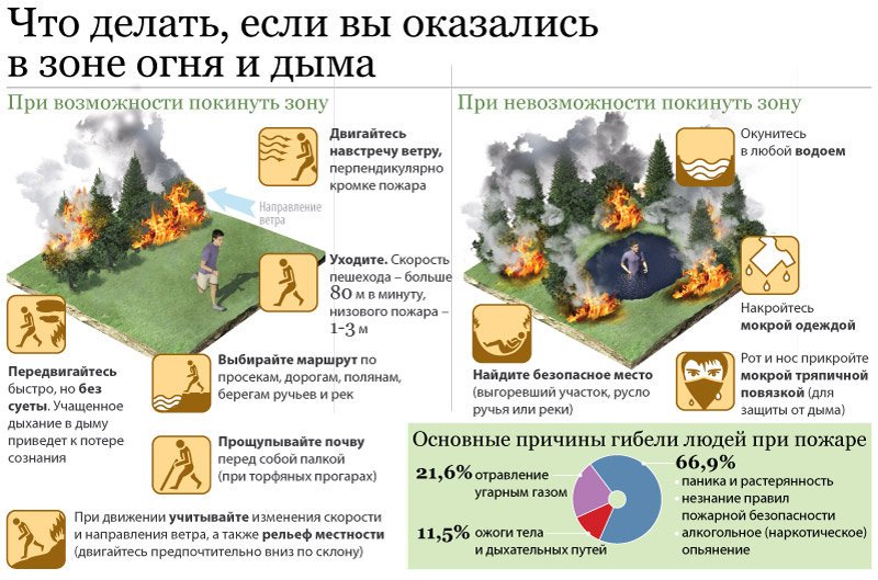 Листовка лес3.jpg