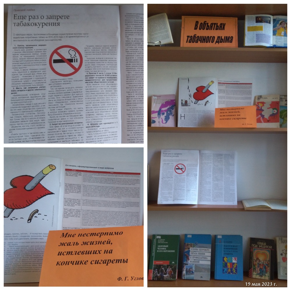 книжная выставка.jpg